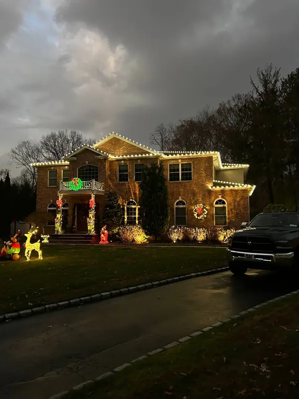 Uplit shrubs and landscape lighting