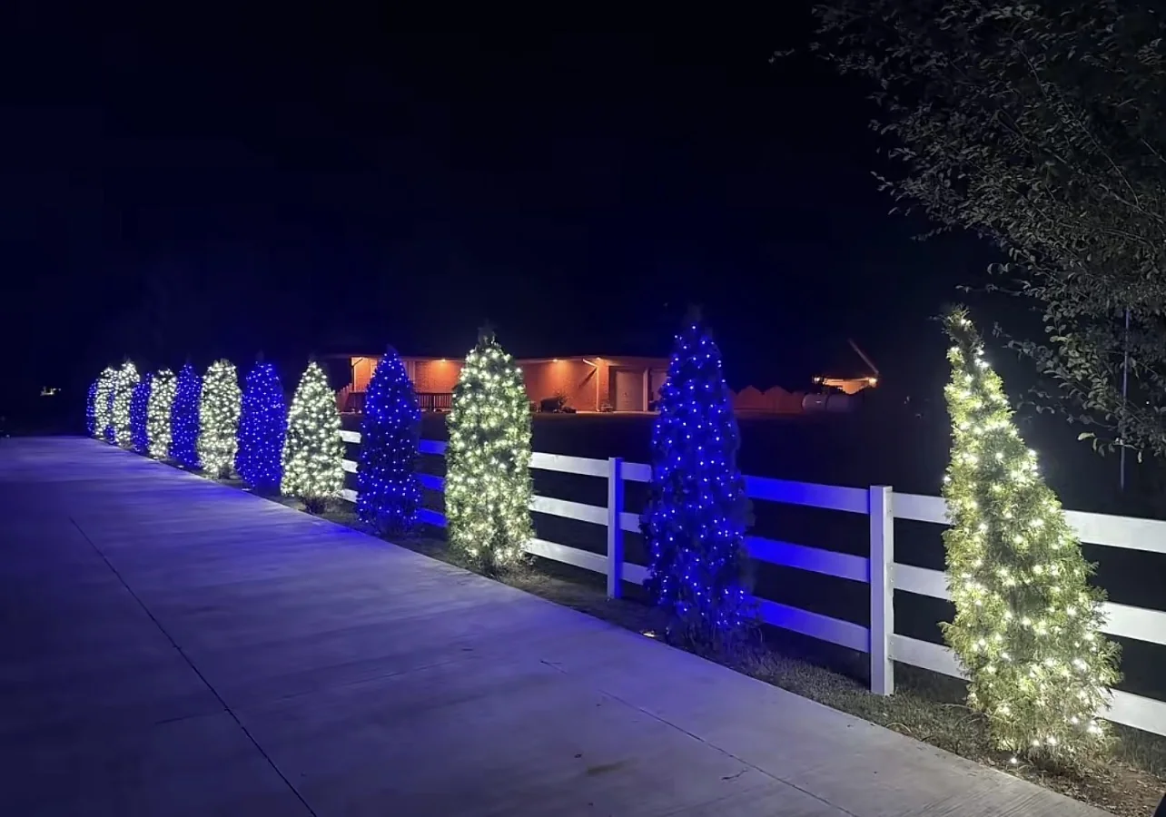 Blue and warm white wrapped evergreens along the fence