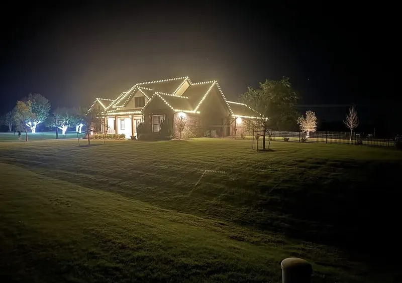 The whole property from the road, drive trees wrapped