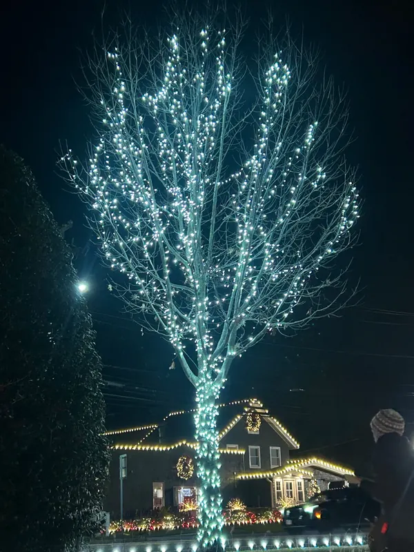 Cool white wrapped tree, warm white roofline and wreaths behind