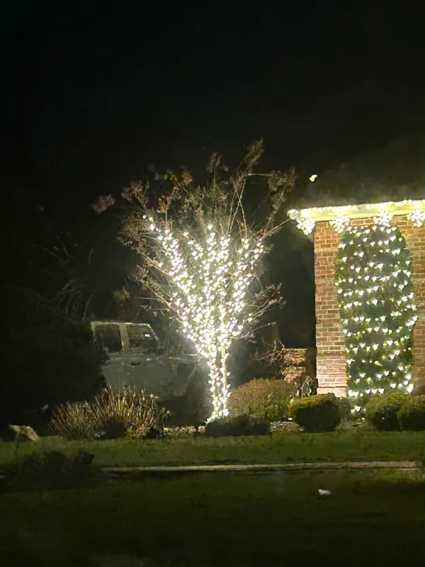 Warm wrapped tree beside a garland-lit brick column